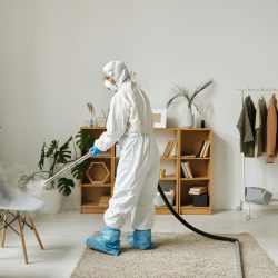 pexels-michelangelo-buonarroti-4176036